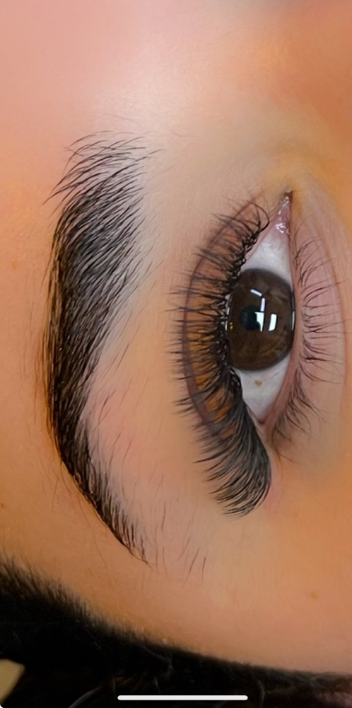 Fairy Lashes