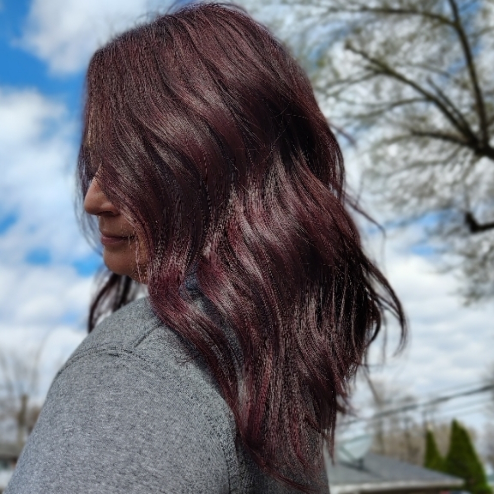 Hair Color and Haircut at JavitaCreates in Springfield, IL