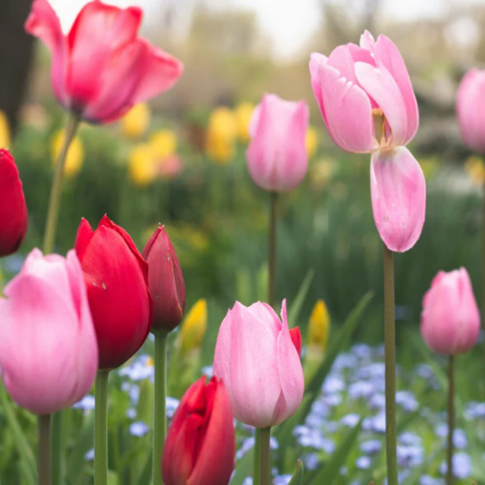 Spring Reset Facial at Taylor Mckinney - Esthetics in Corinth, MS