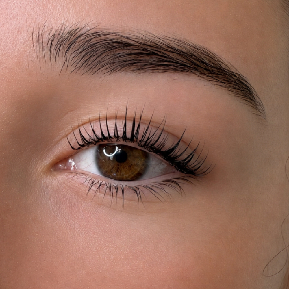 Korean Lash Lift + Tint SEPT PROMO at Kató Beauty in Tampa, FL