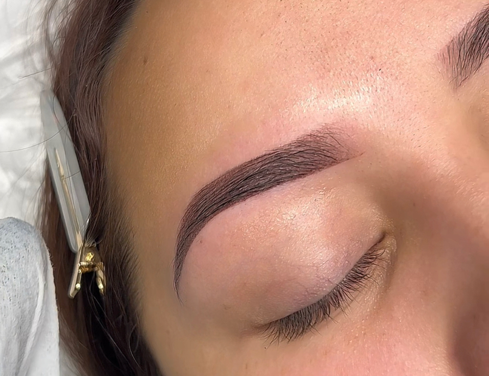 Ombre Powder Brows (New set)