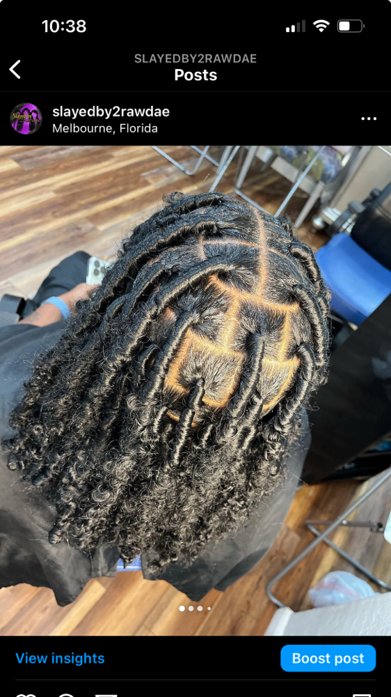 Butterfly Locs, large part short