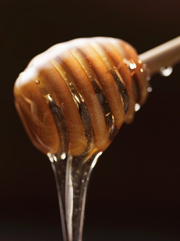 Ear Wax
