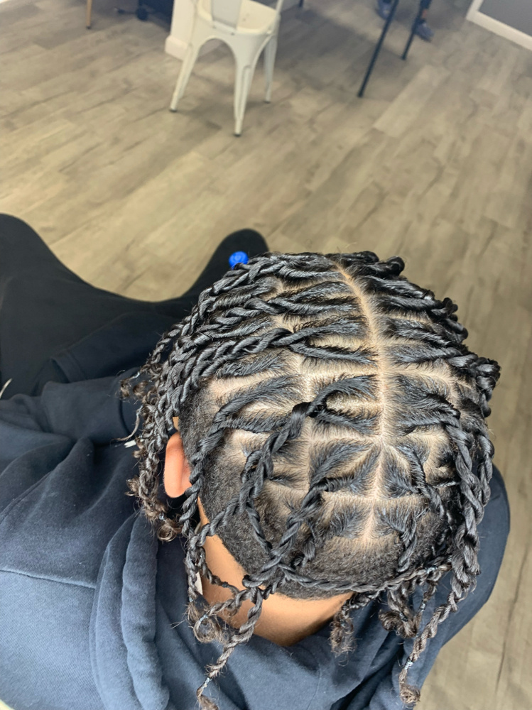Two Strand Twist  (natural hair)