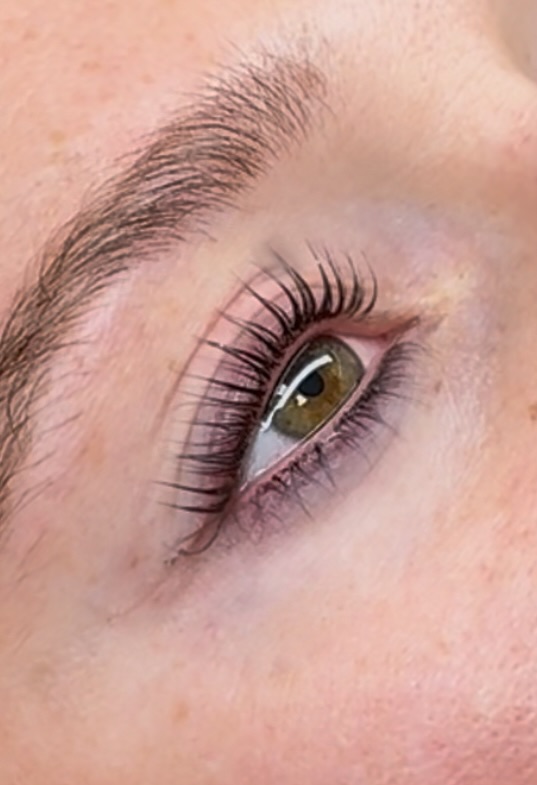 BOTTOM LASH TINT at Forever Lashed in Norman, OK