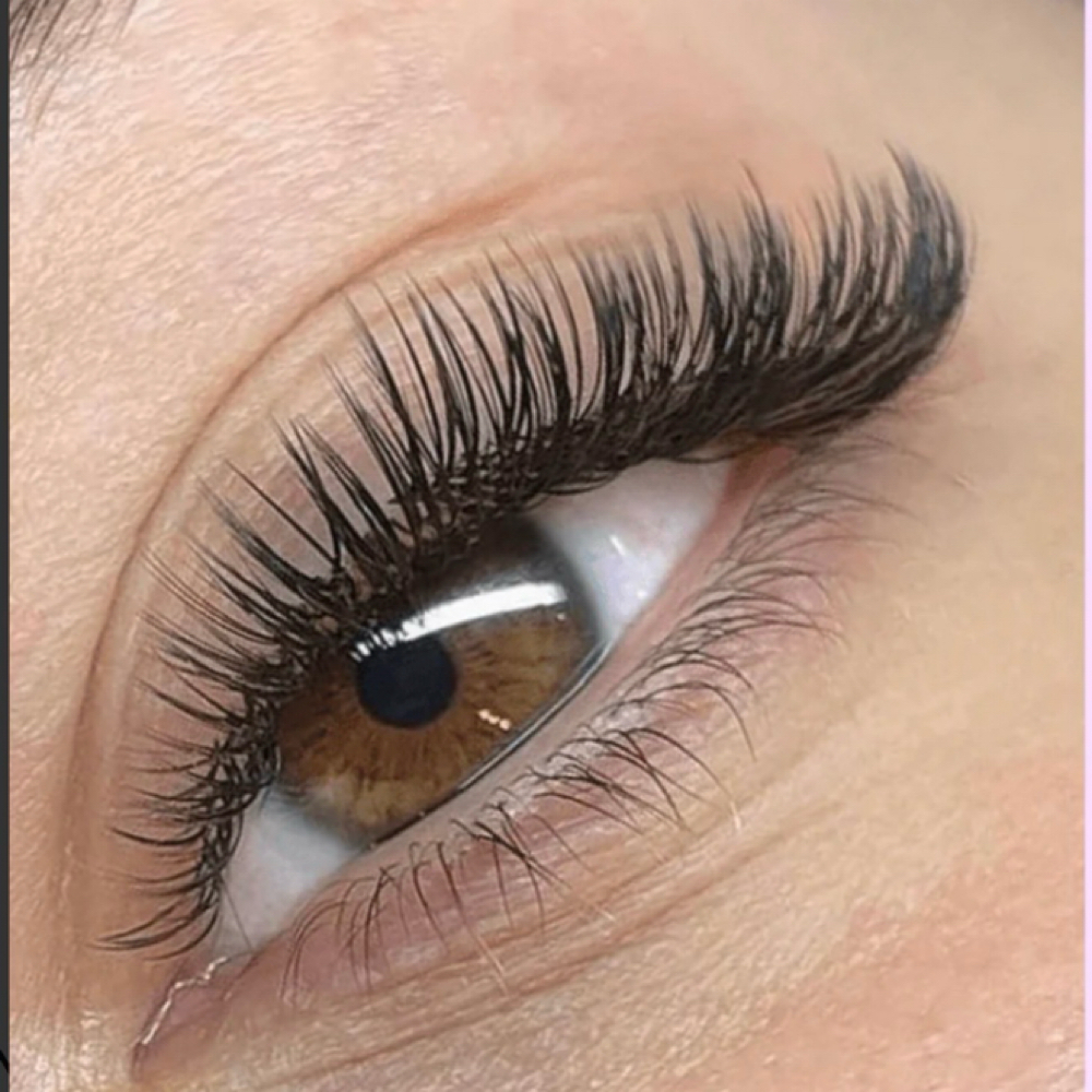 Lash Clusters- Not Lash Extensions at High Life Image Skincare Studio in Tuscaloosa, AL