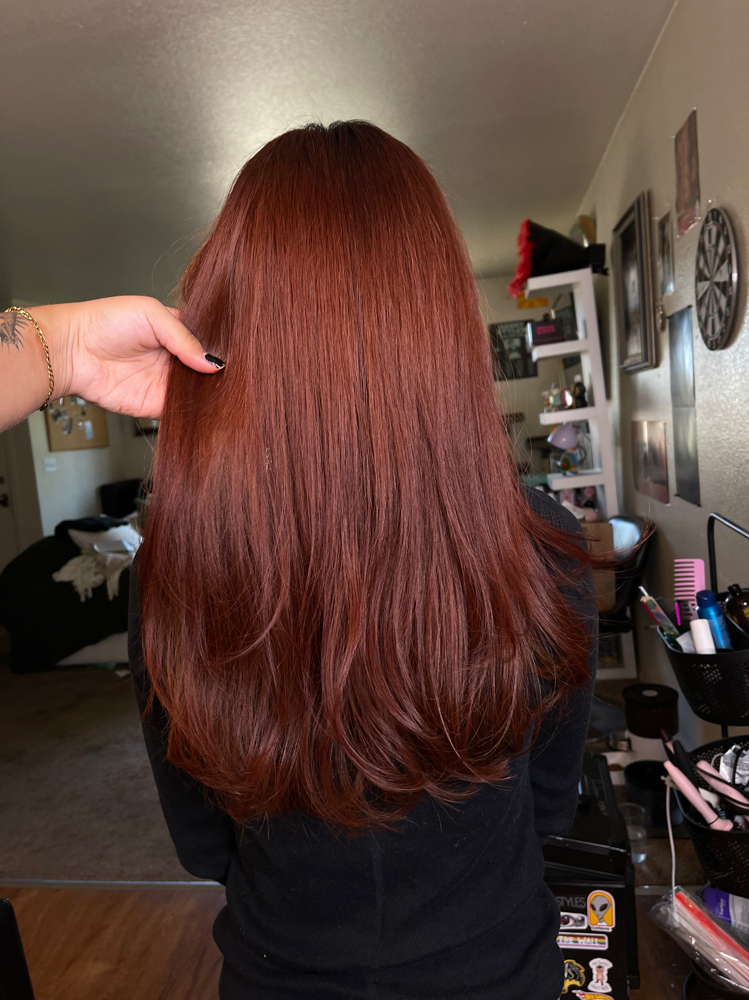 Root Touch Up (dm)