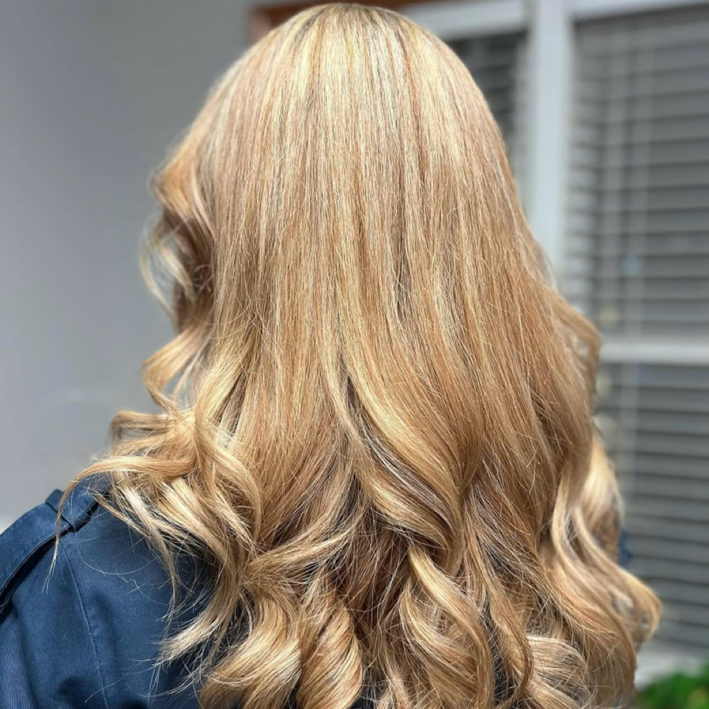 Full Highlight at The Collective in Normal, IL