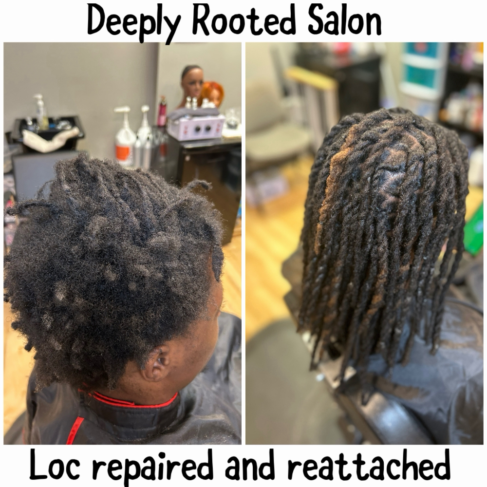 Loc Extentions at DeeplyRootedSalon in Iowa City, IA
