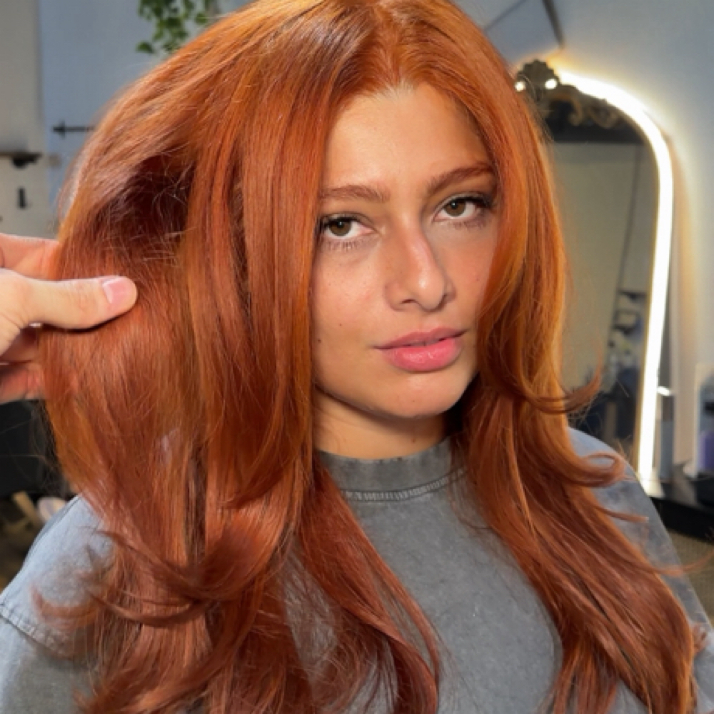 All Over Color Experience-NO BLEACH at Hayden Hair in Houston, TX
