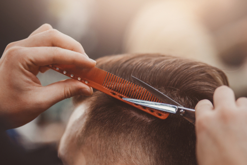 Clipper + Scissor Cut