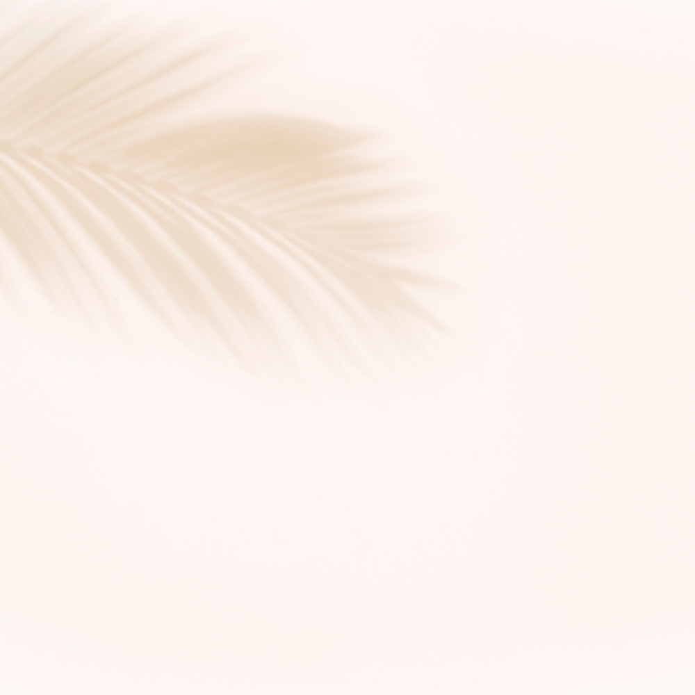 The Reveal at The Alchemie Studio in Chester, NJ