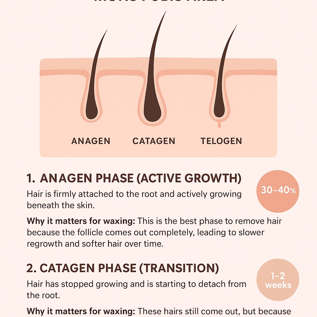 1-Ingrown Mask at Sonia  Elliott Brows, Waxing & Wellness in Summerville, SC