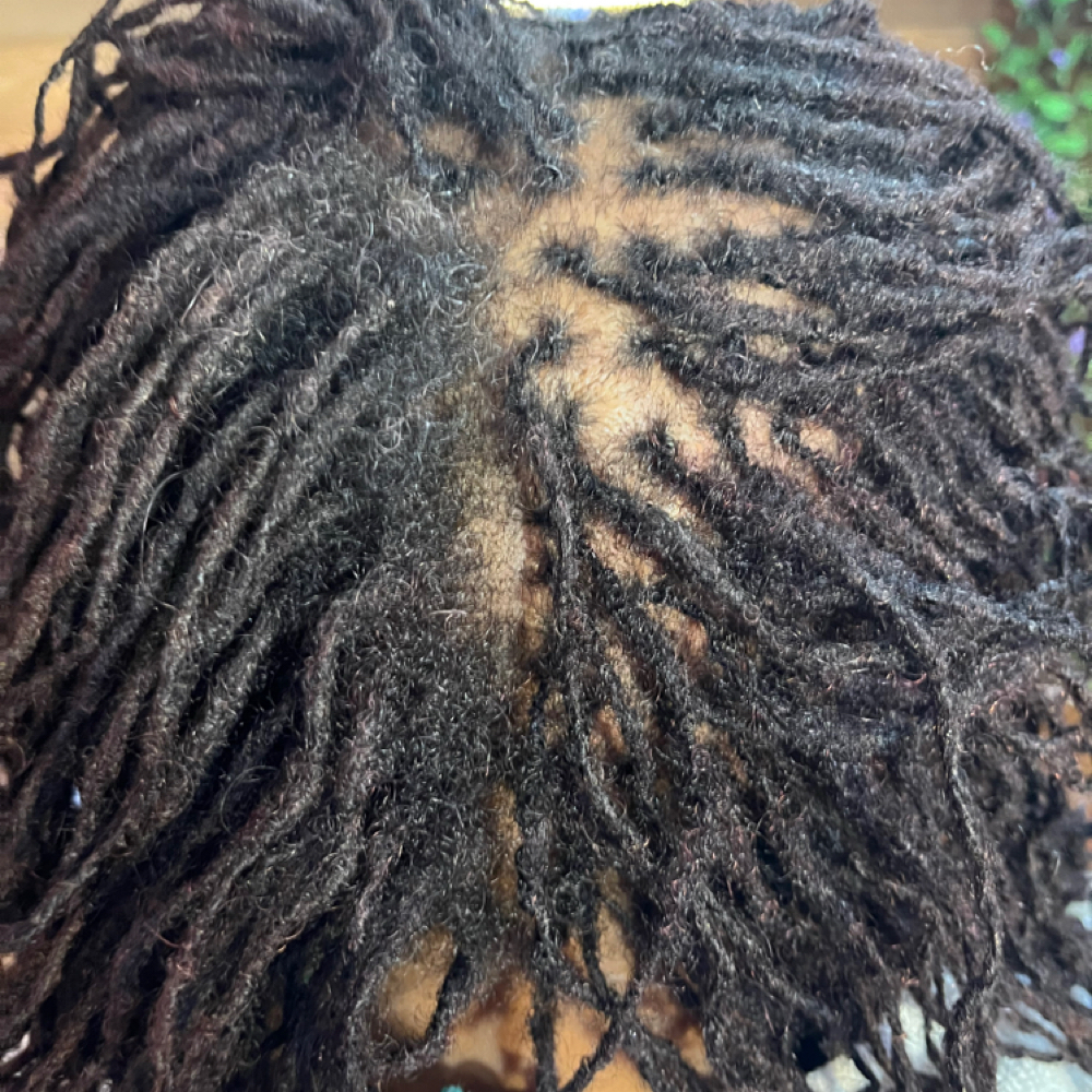 Retightening Consultation at Loc, Twist & Tangle in Aurora, CO
