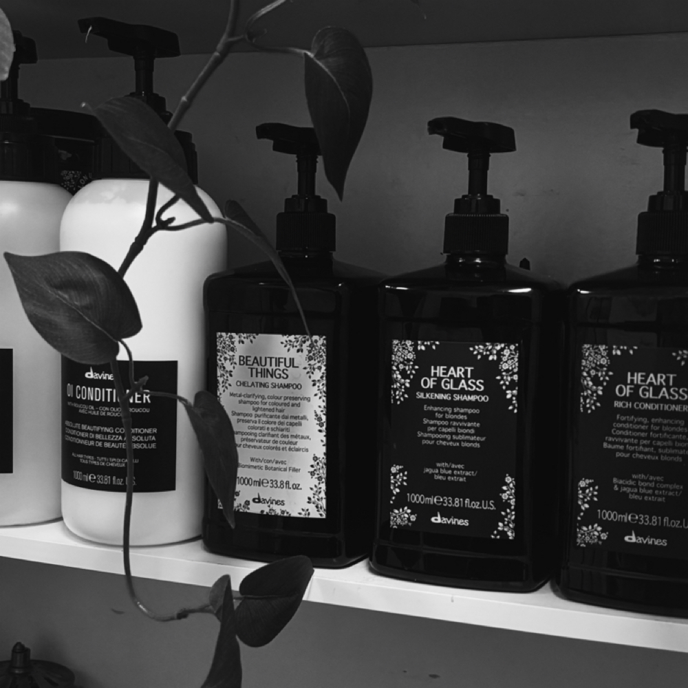 Shampoo + Style at Salon Madison in Fredericksburg, VA