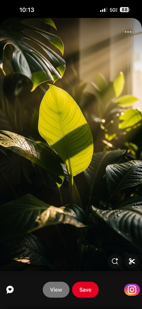 Brow, Lip, & Chin Wax at Exquisite Wax Bar in Winter Garden, FL