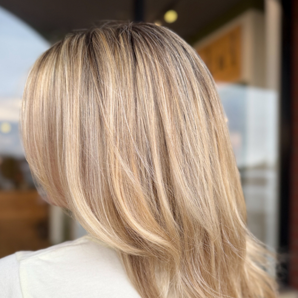 Partial Highlight at Brittony Sherwood Hair in Knoxville, TN