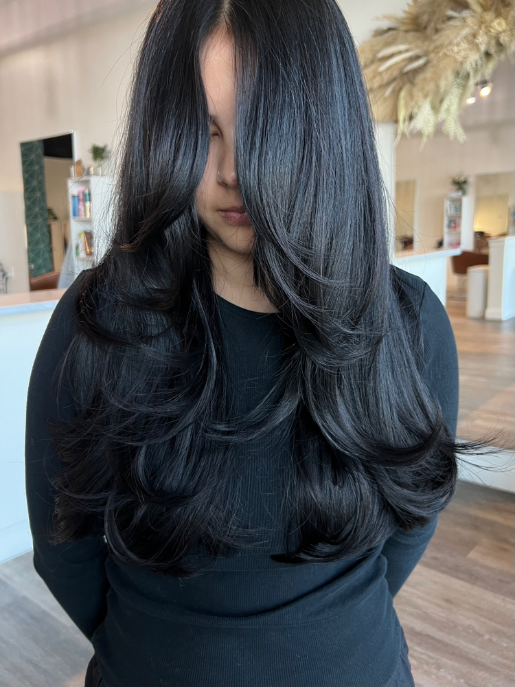 Dry Cut & Style