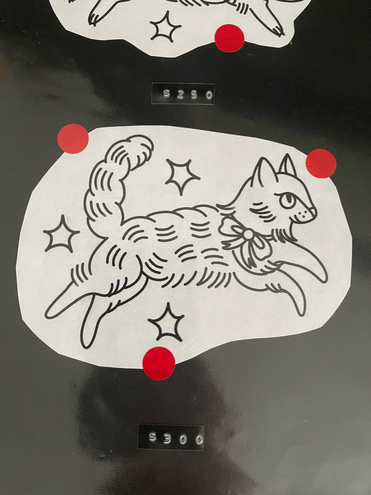 *LAST CHANCE* Fluffy cat!