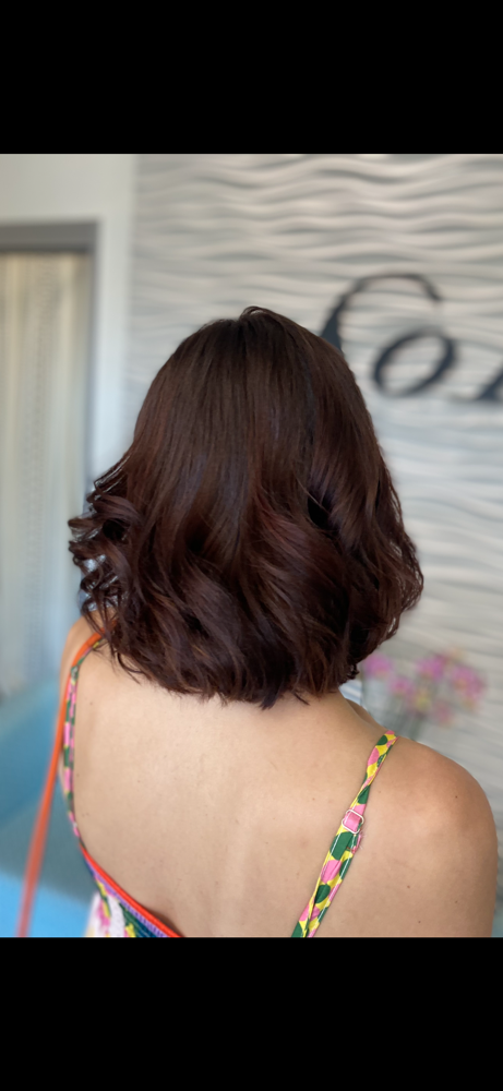 All-Over Color & Haircut
