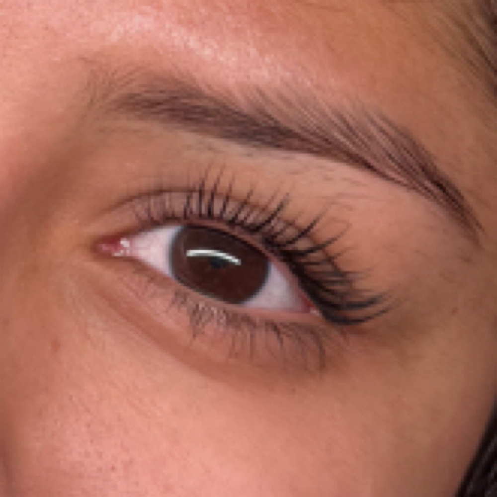 Korean Lash Lift at Kalos Aesthetics in Northglenn, CO