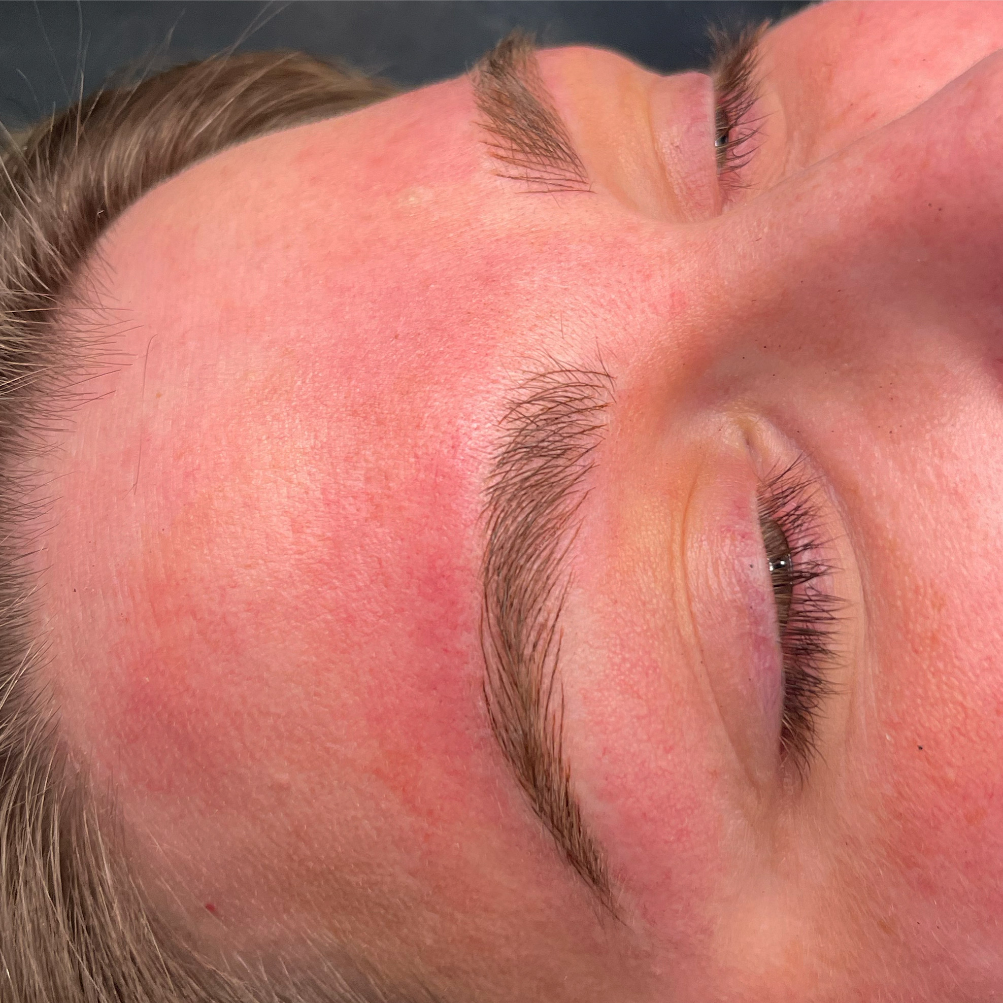 The Microblading Retouch (<1yr)