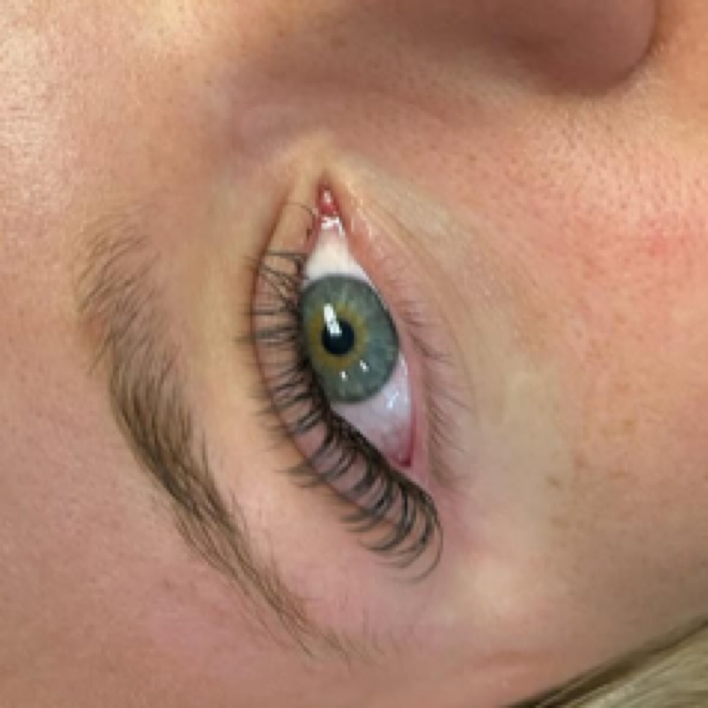 Classic Regular Fill