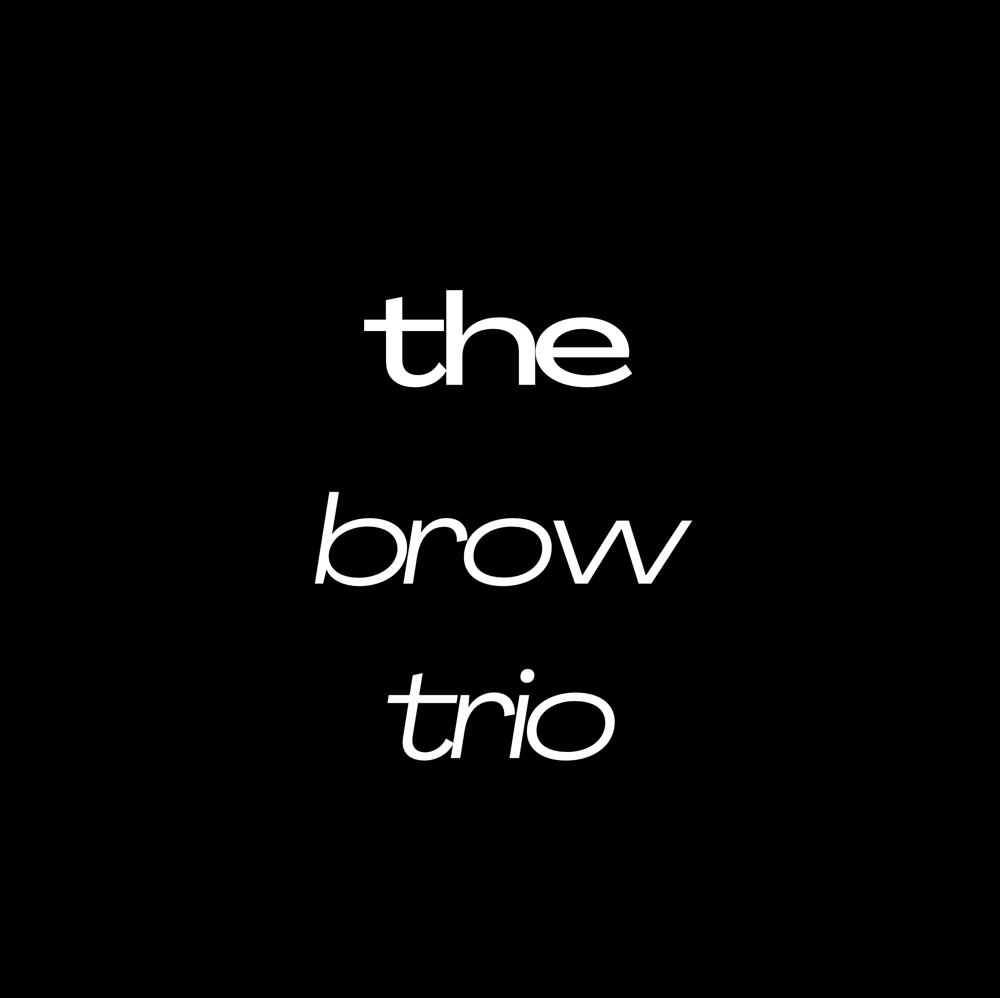 The Brow Trio at Kaitlyn Tipler Aesthetics in Eagan, MN