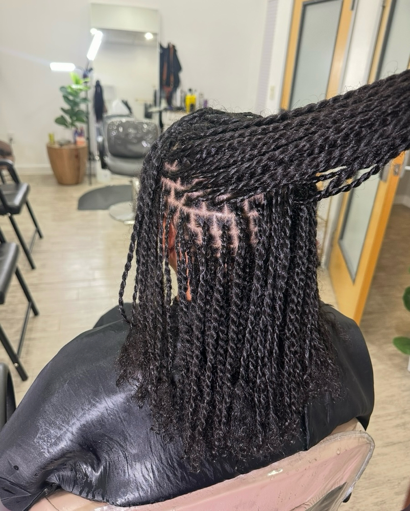 Mini Twists W/Natural hair Only at Ashley Nicole Hair in Dallas, TX