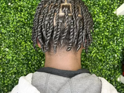 Partial Two Strand Twists at NW2D Salon in NWA, AR