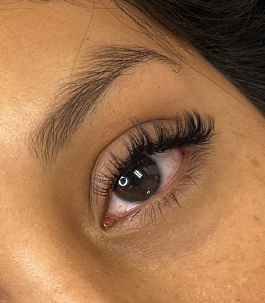 Wet Lash Set