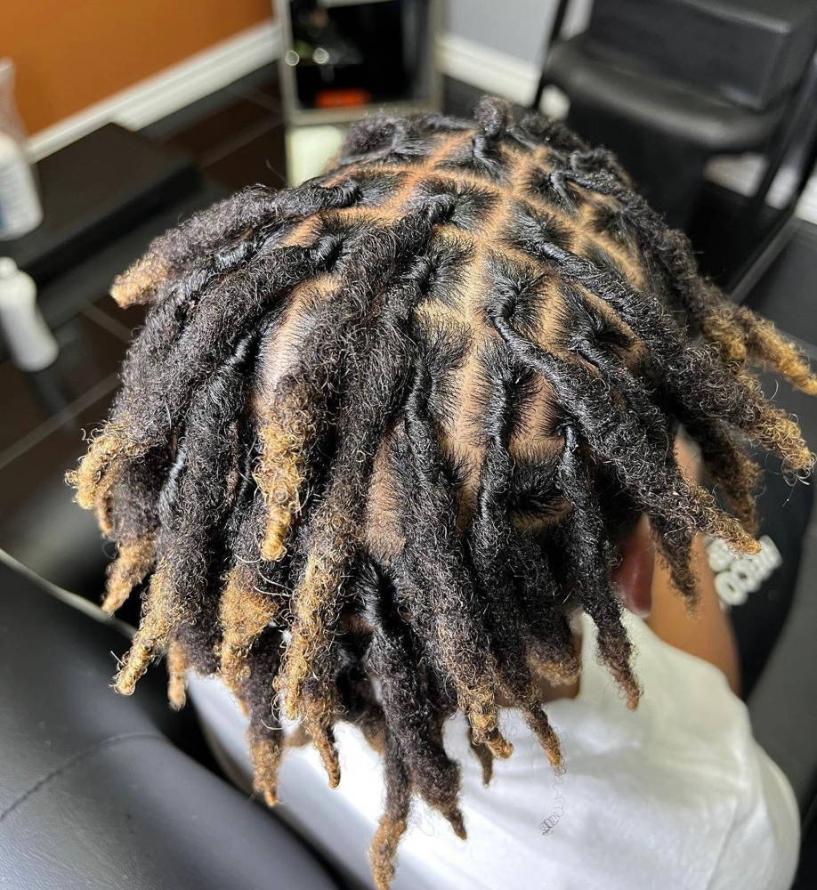 Half Head Retwist