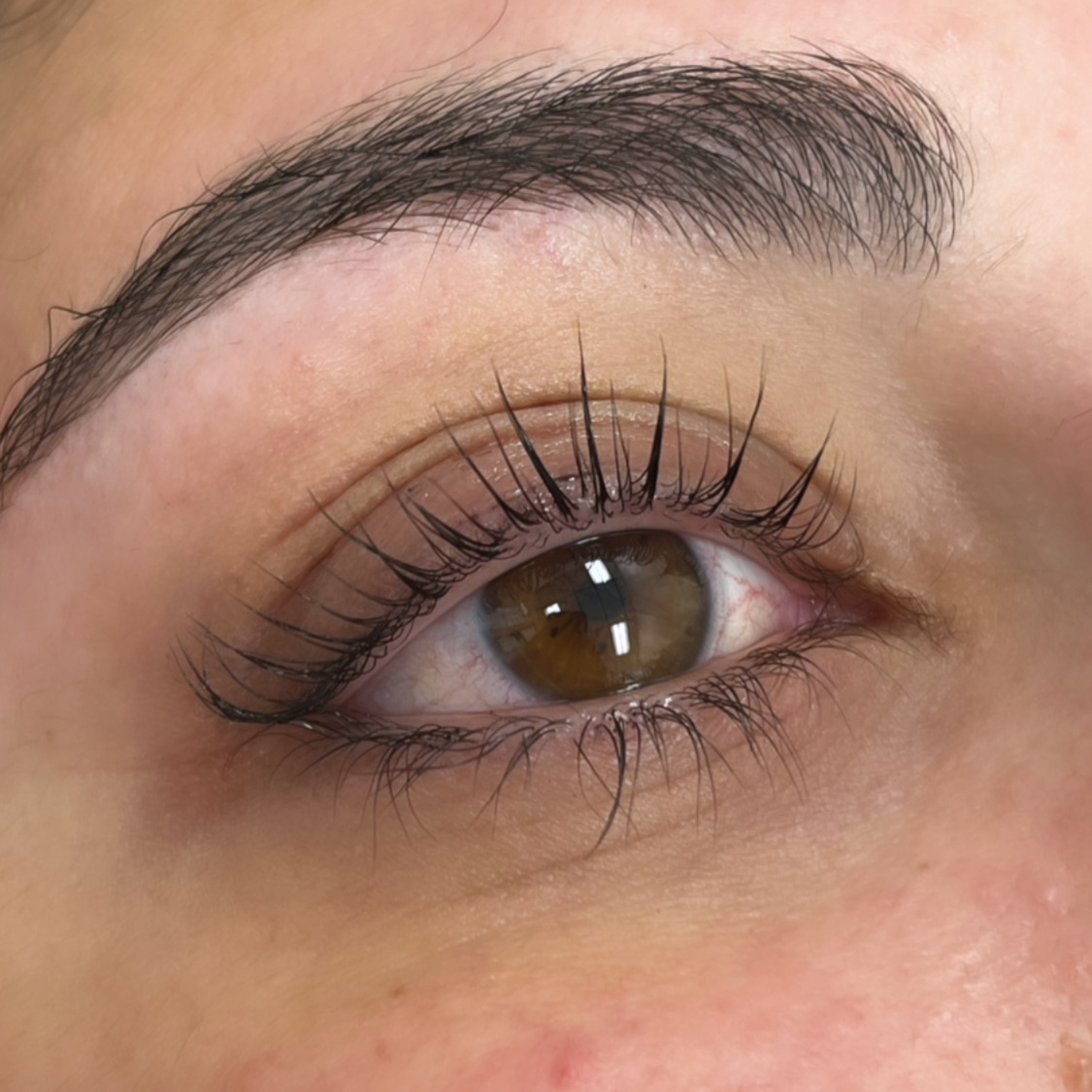 Lash Lift- Holiday Deal (Oct- Dec) at CC's House of Esthetics in Camarillo, CA
