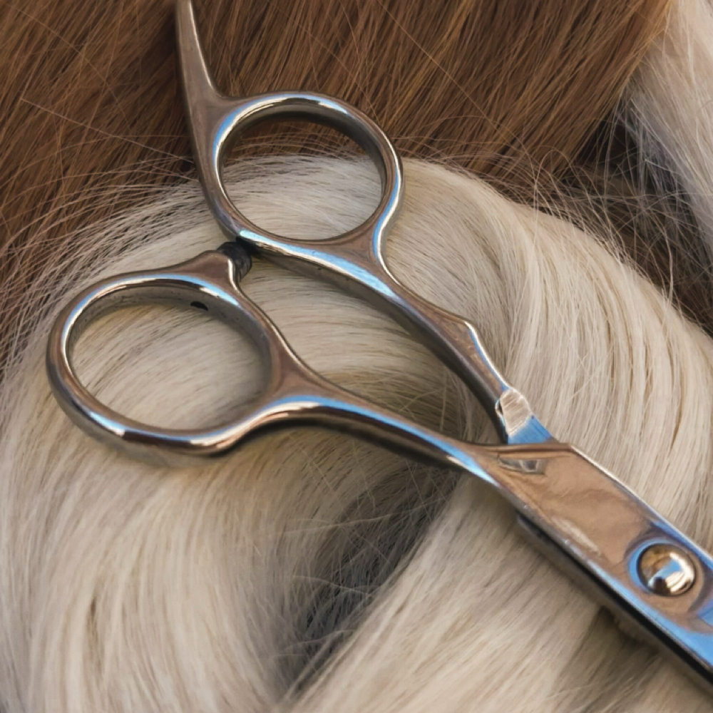 Women’s Wash, Cut and Blow dry at Salon Canvas & Social in South Pasadena, FL