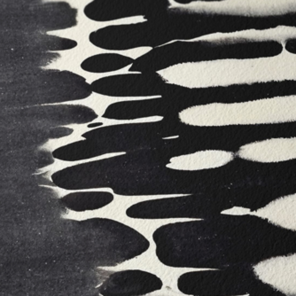 Double Process at Halo Hair Studio in Walla Walla, WA