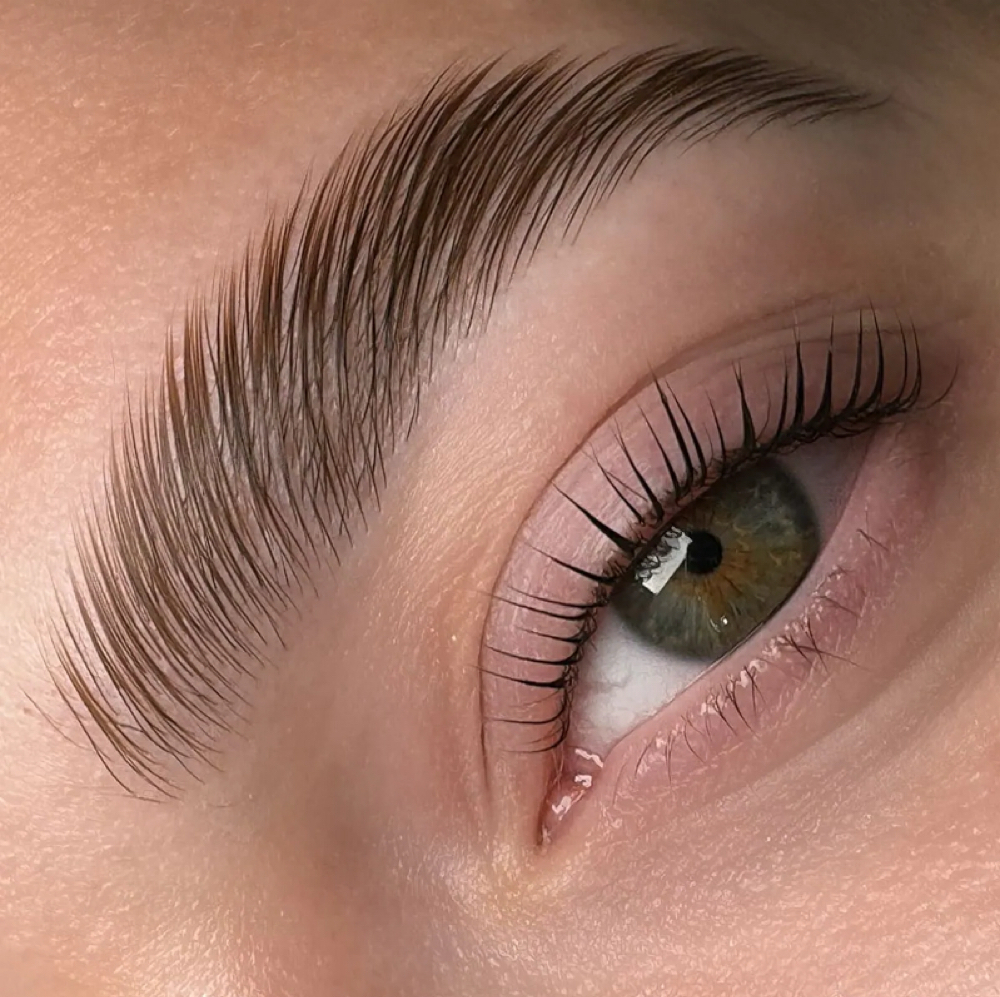 Brow Lamination at Elevated Esthetics Co. in Bon Aqua, TN