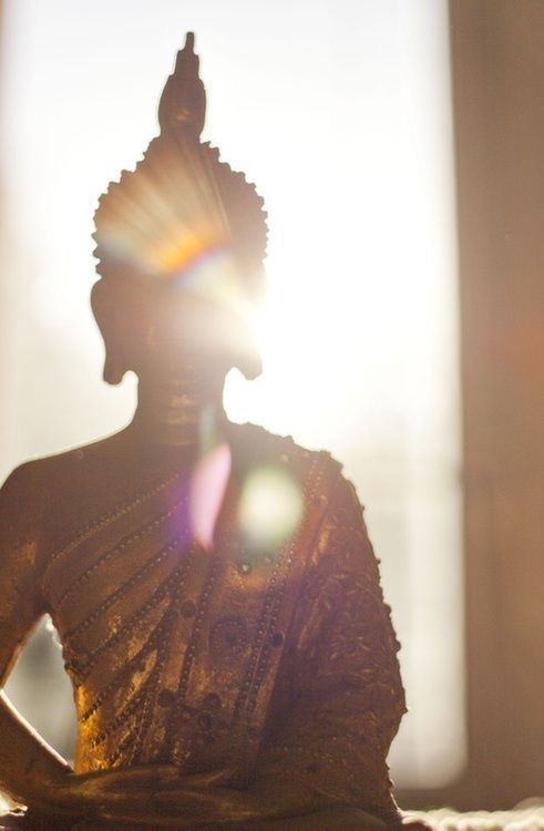Guided Meditation Session