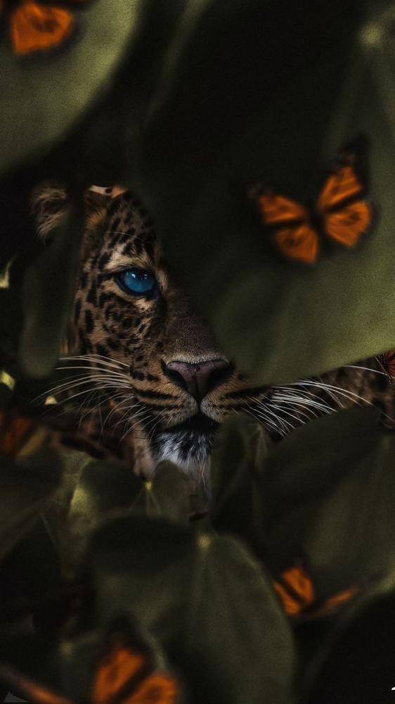 Tropical Sacred Grove Facial Ritual