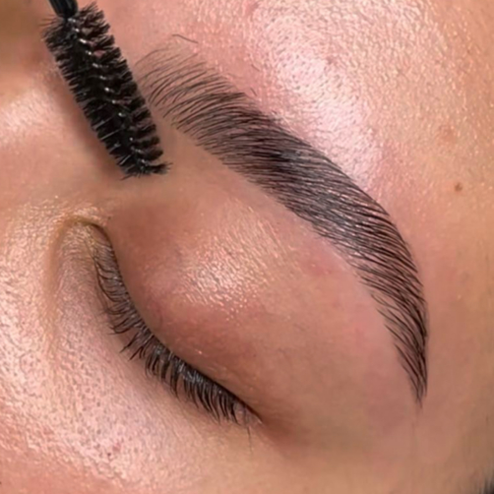 Hybrid Brow Sculpt at Haus of brows & esthetics in converse, TX