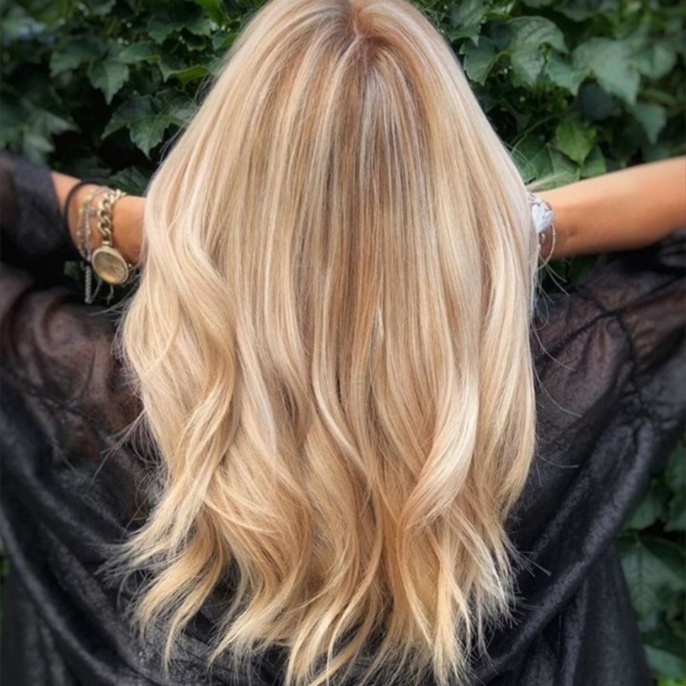 Full Highlight at Sydney Nichole in Capitola, CA