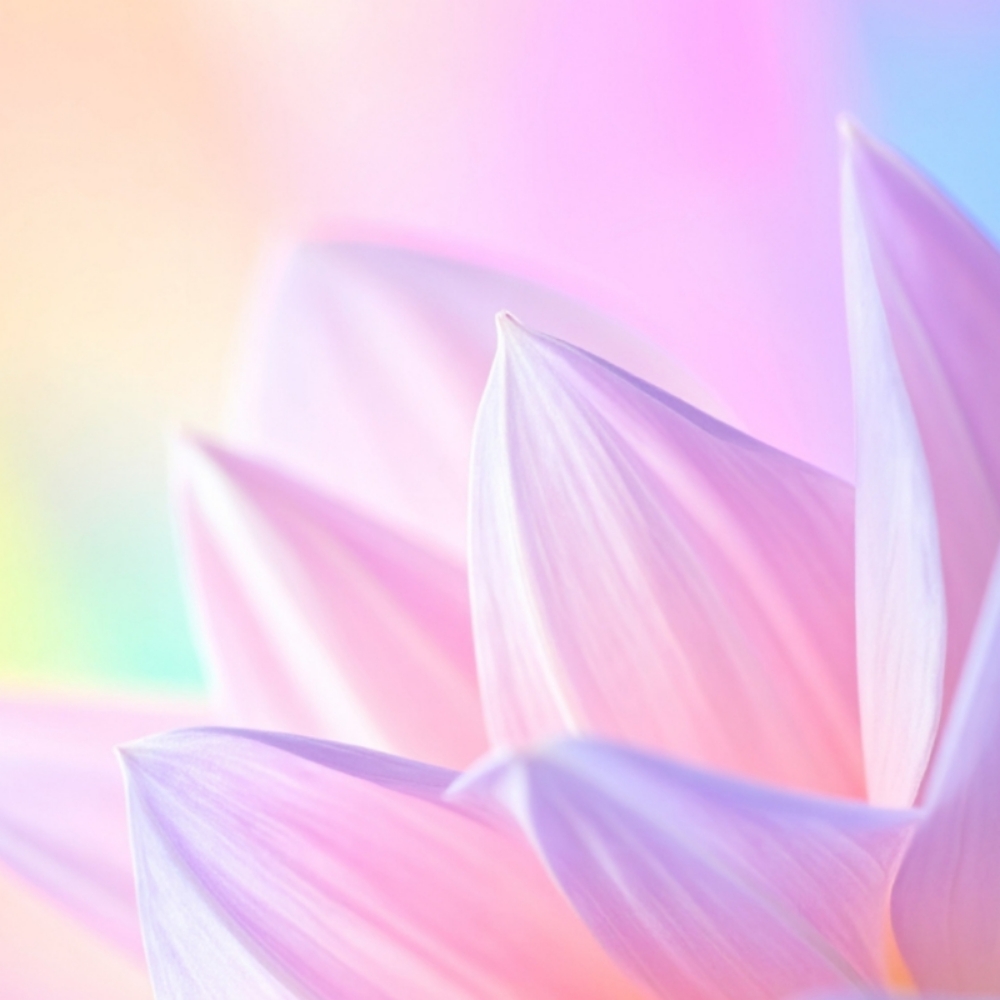 Introductory Reiki Session at Soul's Light Reiki in Geneva, OH