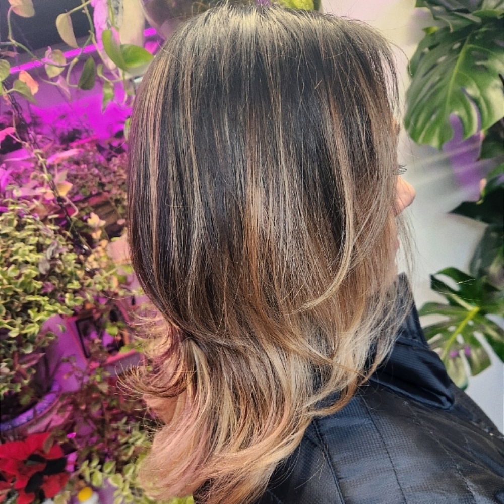 Full Highlight & Blowout at Noemi Vazquez del mercado in Kenosha, WI