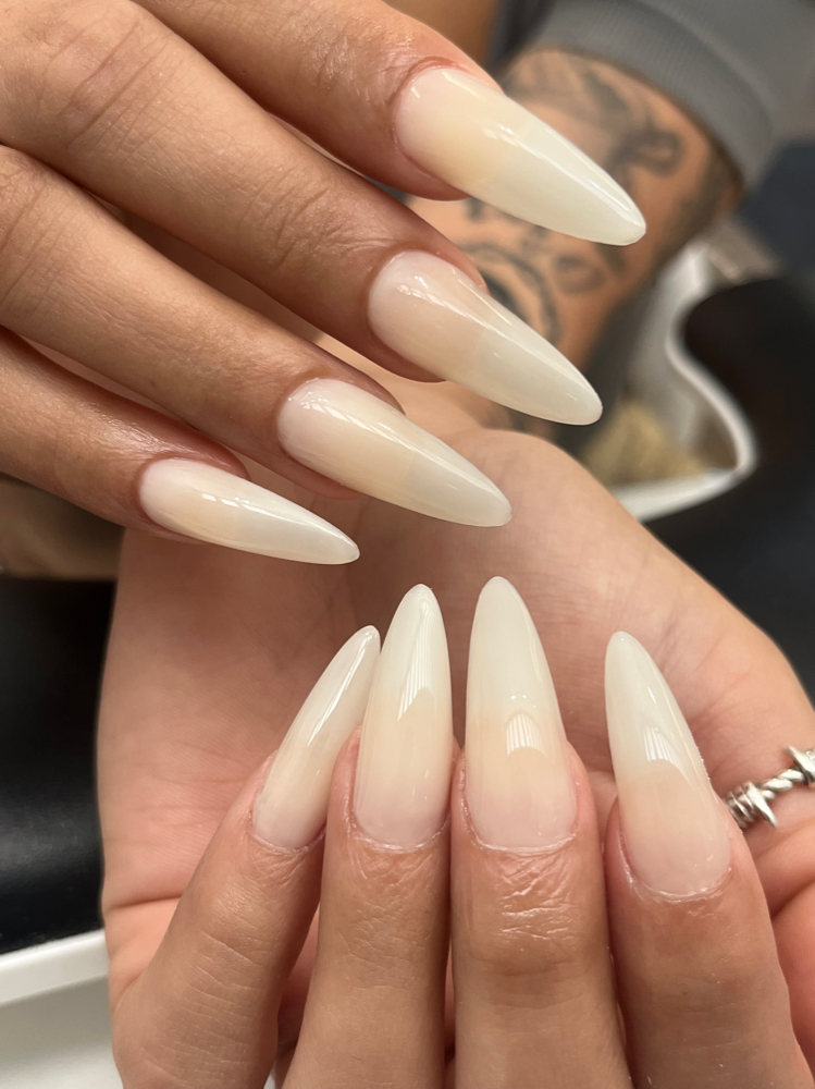 Single Color at NALES in Phoenix, AZ