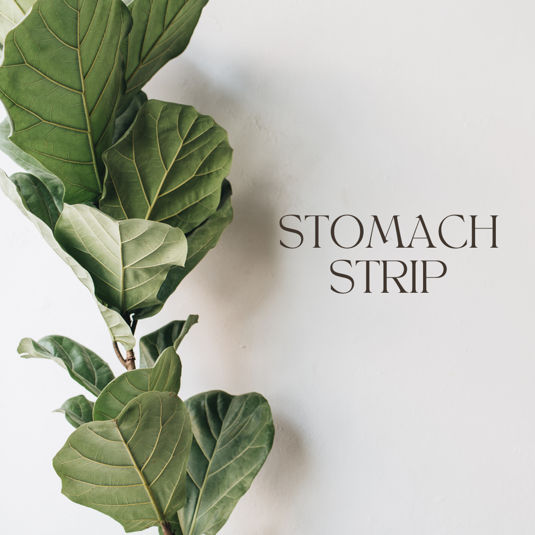 Stomach Strip