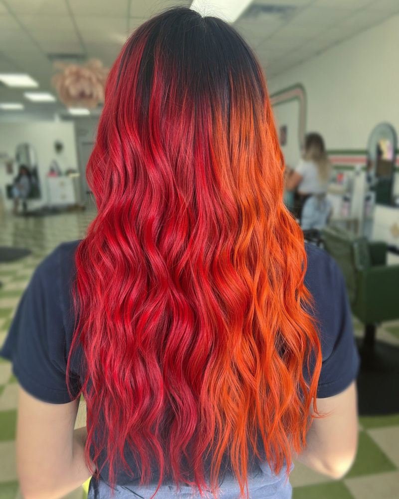 Vivid / Fashion Color - HG
