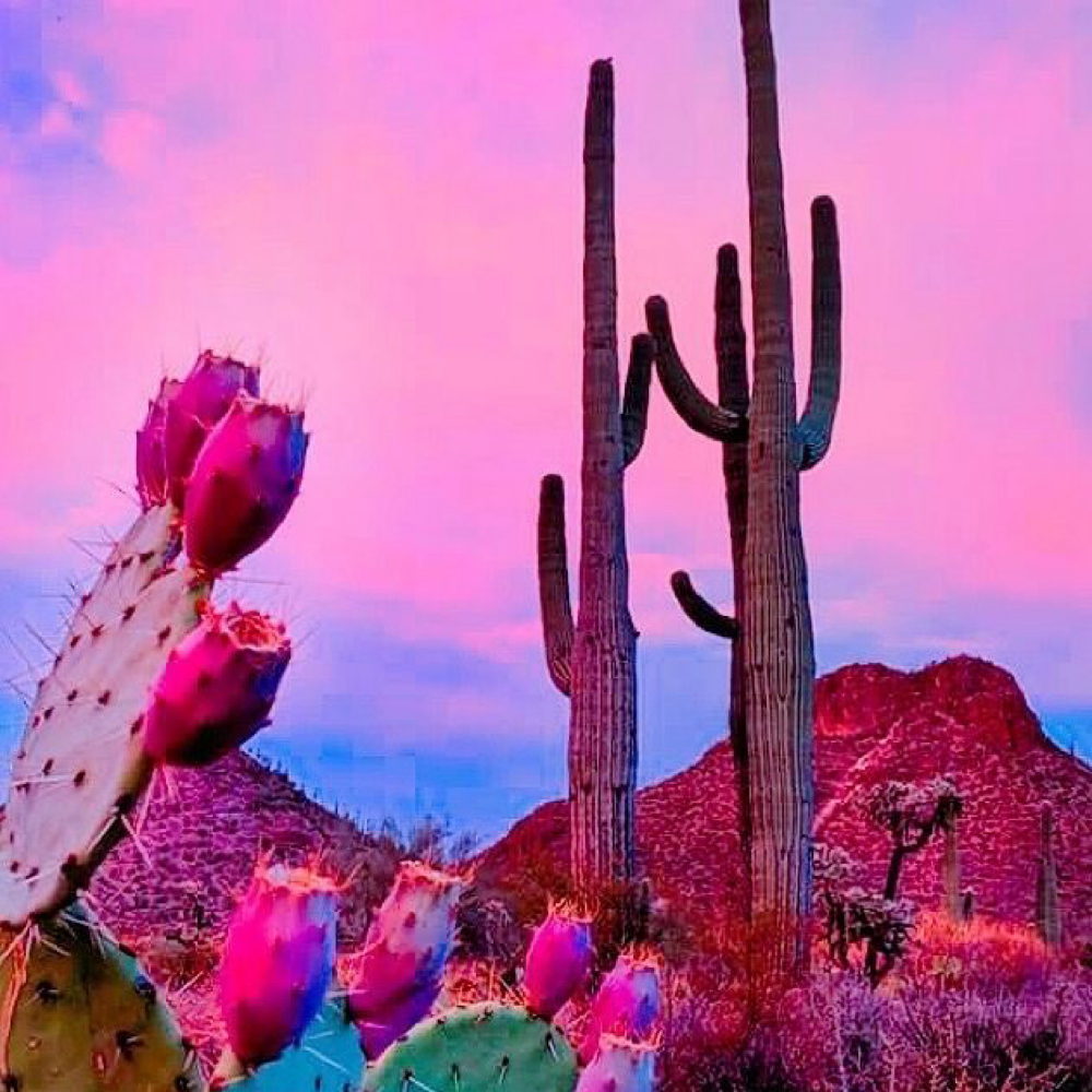 Lavender Scalp Massage