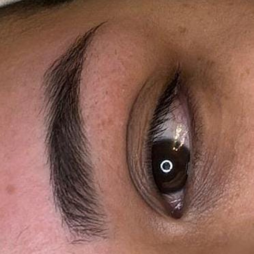 Brow wax and Tint at Midtown Esthetics in Raleigh, NC