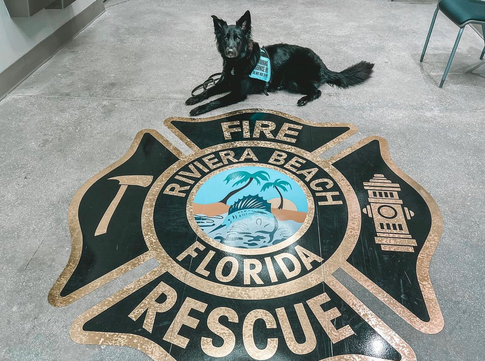 First Responder Assistance Canines