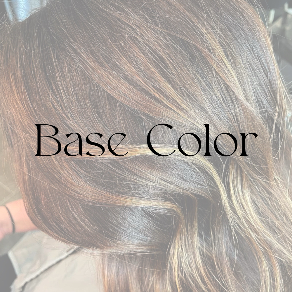 Base Color