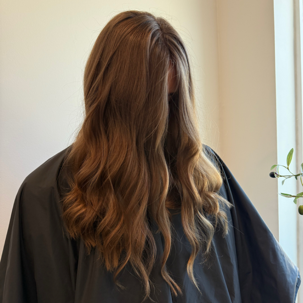 Bloom Gloss at Blonde + Bloom Co in Cedar Park, TX